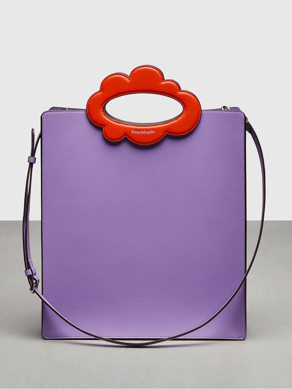 Coachtopia Leather Cloud Handle Tote
